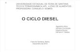 Seminário Ciclo Diesel