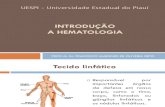 UESPI - Aula 0 - Hematologia introdução