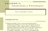 Anatomia y Fisiologia Diarreas