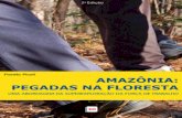 AMAZÔNIA: Pegadas na Floresta - Uma abordagem da superexploração da força de trabalho