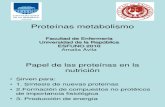8 Proteínas- metabolismo clase 8