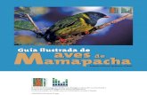 Guia Ilustrada Aves Mamapacha 2009