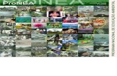 ProNEA - Programa Naciona de Educação Ambiental (2005)