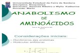 Anabolismo de aminoacidos(em construção)