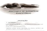 Anatomia Palpatória (PPTshare)