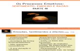 Os processos Emotivos - Parte III