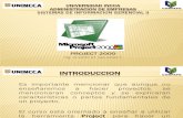 SISTEMAS DE INFORMACION GERENCIAL II - PROJECT 2000