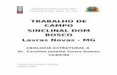 UFOP - Seminário Geologia Estrutural - Sinclinal Dom Bosco