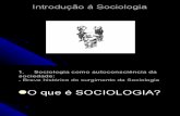 Contexto histórico de Sociologia
