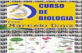 Biologia - Taxonomia - Marcelo