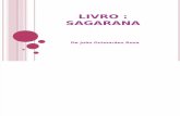 Livro : Sagarana