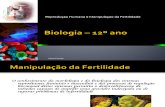 Biologia – 12º Ano (Manipulação Da Fertilidade
