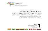 A Amazônia e as Mudanças Climáticas