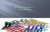 Biologia PPT - Aula 06 Proteínas e Enzimas
