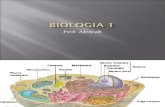 Biologia PPT - Aula 08 Visao Geral da Celula