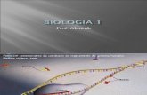 Biologia PPT - Aula 13 Ácidos Nucleicos