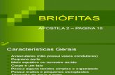 Biologia PPT - Briofitas
