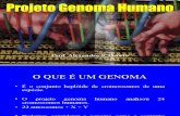 Biologia PPT - Genoma Humano