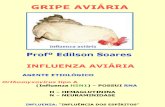 Biologia PPT - Gripe Aviária
