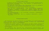 Biologia PPT - Bot¢nica - Gimnospermas 01