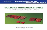 Cultura Organizacional - Evolução e Crítica