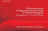 Dinâmica Organizacional e Estratégia - Imagens e Conceitos
