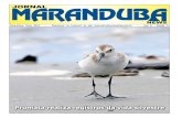 Jornal Maranduba News #72