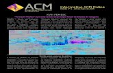 Informativo ACM Online nº 4