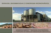 Brasil biomassa e energia renovável 2015