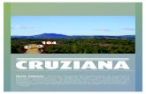 E-Magazine Cruziana 104