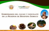 Gobernanza del Cacao y chocolate en la reserva de Biosfera Sumaco