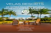 Newsletter #6 | Velas Resorts | PT