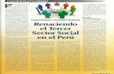 ECONOMIA SOLIDARIA EN PERU Renaciendo 3 sector