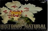 Historia natural tomo iii botanica r gonzalez fragoso a luisier p font quer gallach 1976 br