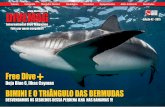 DIVEMAG | Edição 42 | International Dive Magazine