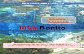 Revista viva bonito - Espanhol