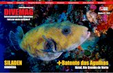 DIVEMAG | Edição 43 | International Dive Magazine