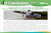 Agricultora garante produção diversificada no Agreste pernambucano