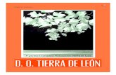 D. O. Tierra de Leon Nº3