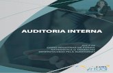 Auditoria Interna - aula 04