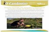 Sistema baseado em agricultura sustentável aumenta renda de famílias de Oeiras