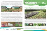Famílias agricultoras investem em hortaliças agroecológicas no município de Quixaba