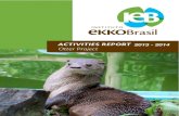 Ekko Brasil 2014 report