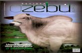 Revista O Zebu no Brasil - Matéria Café