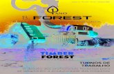 B.Forest A Revista Eletrônica do Setor Florestal - Edição 13 - Ano 02 - n° 10 - 2015