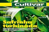 Grandes Culturas - Cultivar 153