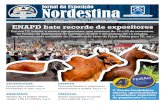 Jornal da Exposição Nordestina (2014)