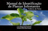 Manual de identificação de plantas infestantes