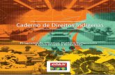 Caderno Indígena Diagramado Prévia