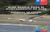 Guia Básica para el Avistamiento de Aves Humedal de Cahuil